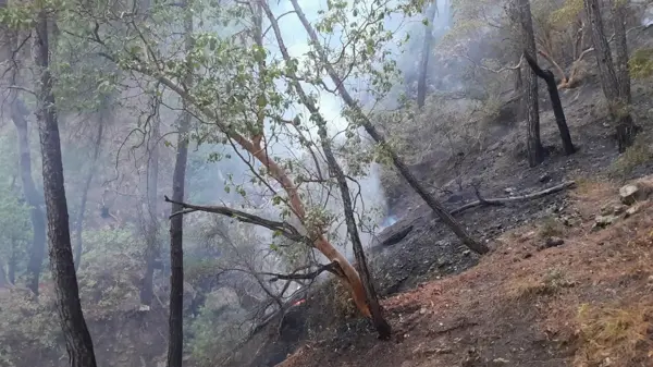 Antalya'da Gedelme Yaylası'nda çıkan orman yangını kontrol altına alındı