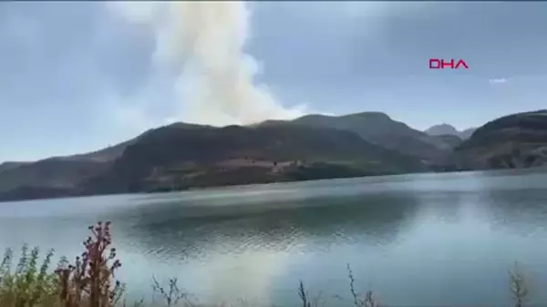 Tunceli'de Orman Yangını Kontrol Altına Alındı