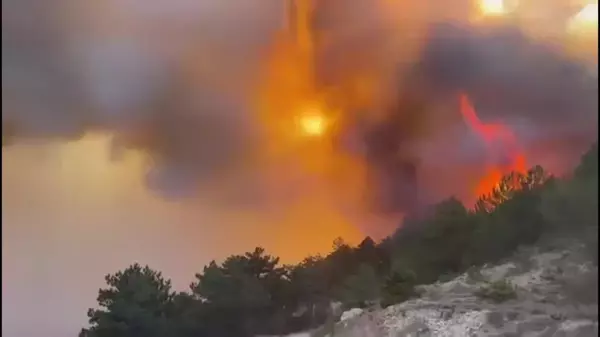 Bolu'nun Göynük ilçesinde yangın çıktı