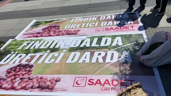 Saadet Partisi, AK Parti'nin açıkladığı fındık fiyatlarını protesto etti