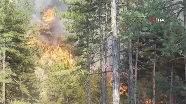 Karabük'teki orman yangını rüzgarın etkisiyle yayılıyor