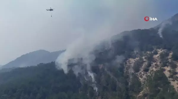 Bolu'da yanan alan böyle görüntülendi