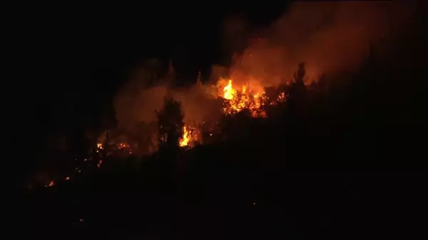 İzmir'deki orman yangınlarına karadan müdahale devam ediyor