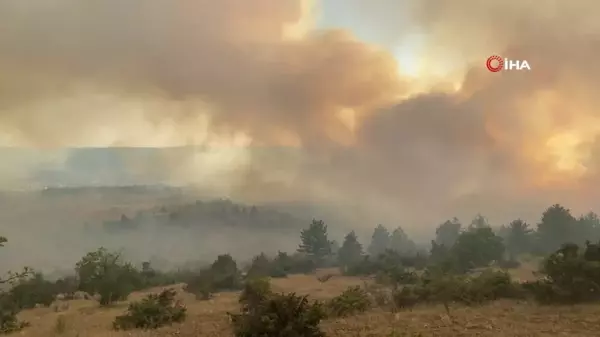 Çankırı'daki orman yangınına havadan ve karadan müdahale sürüyor