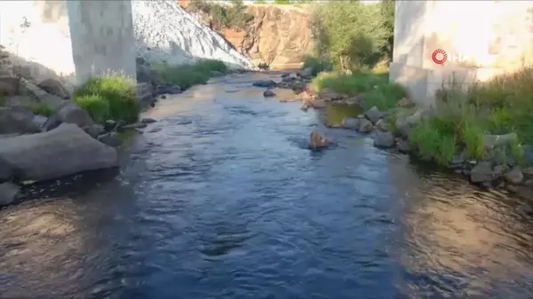 Doğa fotoğrafçısı Deliçay'da çöp topladı