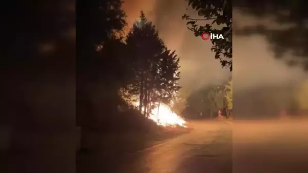 Hatay'da ağaçlık alanda çıkan yangın büyümeden söndürüldü