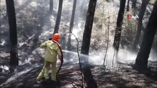 Ula'da ekipler alevlerin yeniden yükselmesine izin vermiyor