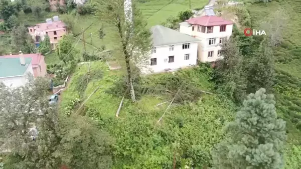 800 yıllık camiyi kurtarmak için çevresindeki ağaçları kestiler