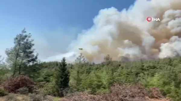 Çanakkale'deki tarihi yangında uçak ve helikopterler 708 sorti yaptı, 146 saat havada kaldı