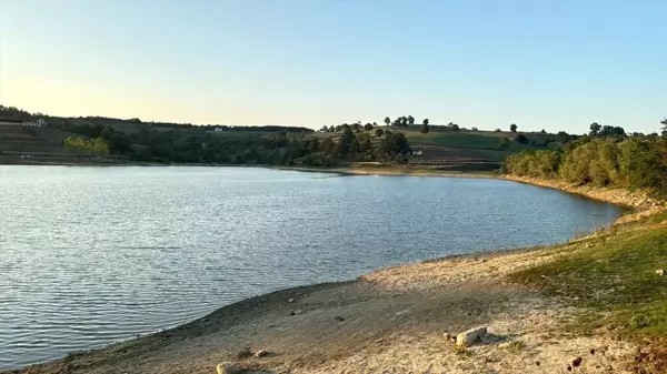 Kandıra'da boğulan torunlarını kurtarmaya çalışırken hayatını kaybeden babaanne hastanede öldü