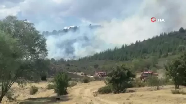 Akharım'da orman yangını sürüyor