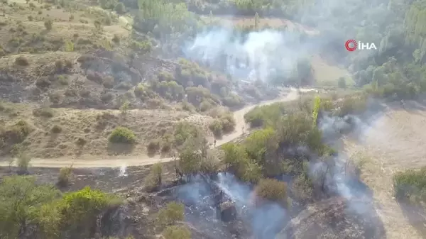 Burdur'da ağaçlık alanda çıkan yangın köylülerin imece usulü çabasıyla söndürüldü