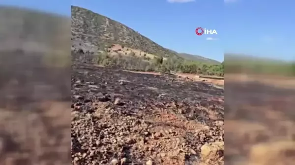 Isparta'da çıkan orman yangını hızlı müdahale ile söndürüldü