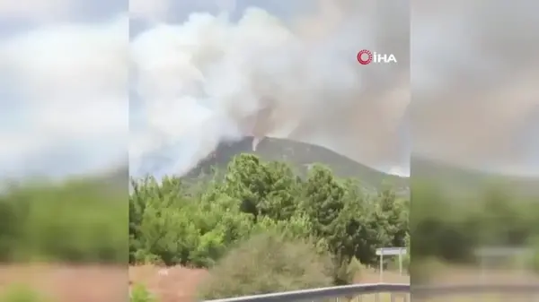 Menderes'te orman yangını