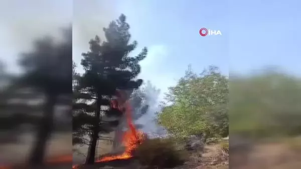 Mut'ta orman yangını büyümeden söndürüldü