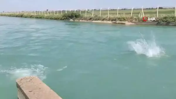 Şanlıurfa'da serinlemek için baraja gölüne giren çocuk boğuldu