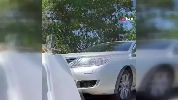 Otomobilin motoruna sıkışan kedi için seferber oldular