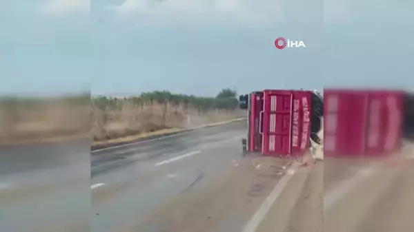 Adana'da domates yüklü kamyonet devrildi