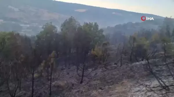 Bilecik'te kontrol altına alınan orman yangınında soğutma çalışmaları yapılıyor