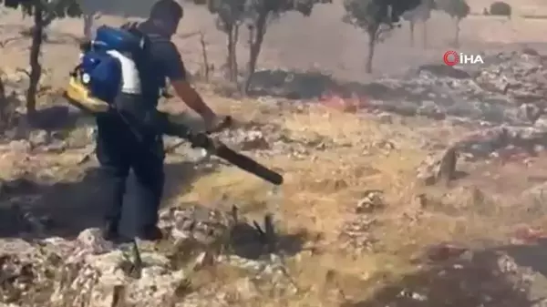 Mardin'de ormanlık alanda çıkan yangın söndürüldü