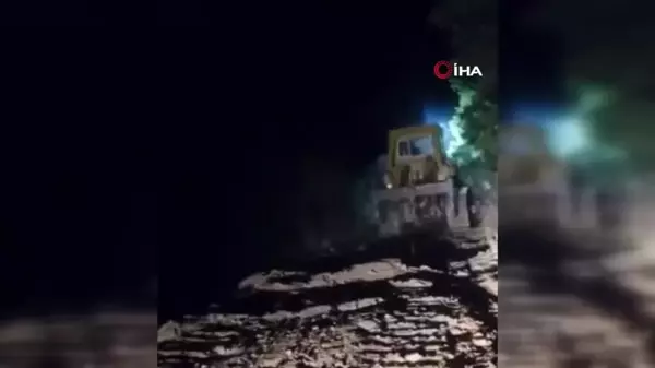 Bitlis'te çıkan orman yangınları kontrol altına alındı