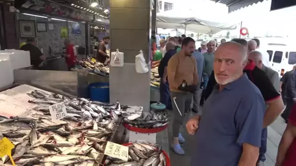 Hamsi Palamutu Kıskandı, Tezgahlarda Yerini Aldı