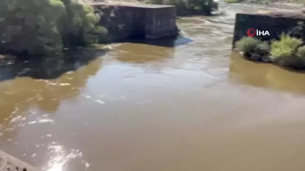 Karasu Nehrindeki kirlilik tedirgin ediyor