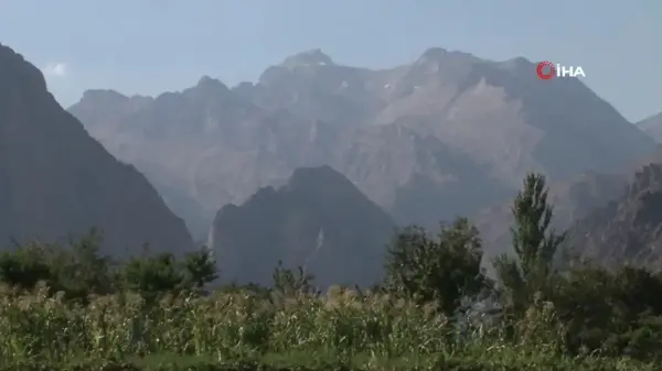 Dağlıca'da Terörle Mücadelede Başarı: Huzurlu Günlere Dönüş