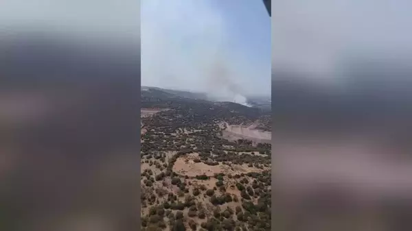 İzmir Menemen'de Orman Yangını Çıktı