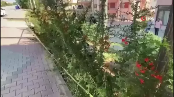 Konya'da Yol Kenarında Erkek Cesedi Bulundu