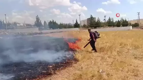 Mardin'de Ot Yangını Kontrol Altına Alındı