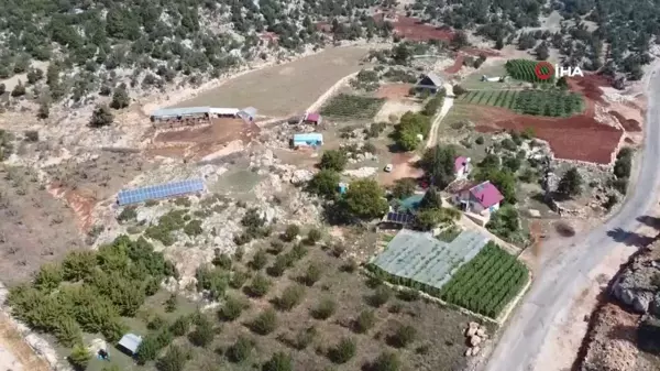 Çiftçi Güneş Enerjisi İle Üretim Maliyetini Sıfırladı