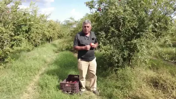 Çiftçilerin İhracat Sorunlarına Dikkat Çekildi