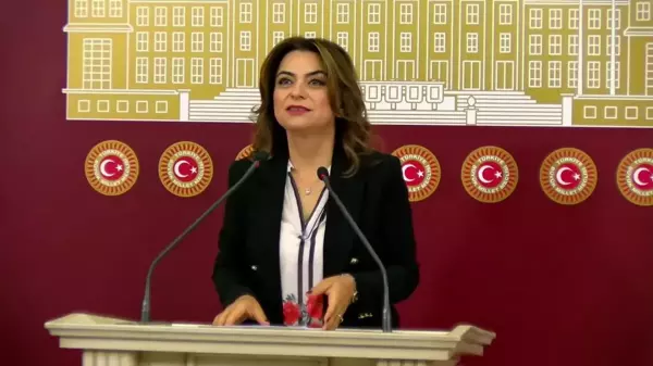 DEM Parti'den Meclis Başkanına Sert Eleştiri: 'Meclis Sarayın Bando Takımı Değildir'