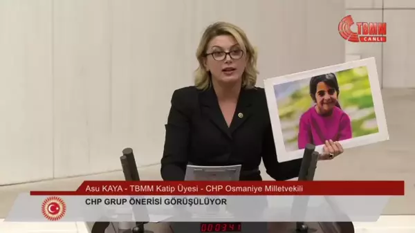 CHP Kadın Kolları Başkanı Asu Kaya: 