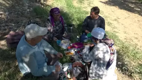 Zeytin Üreticisi İsyan Etti: 