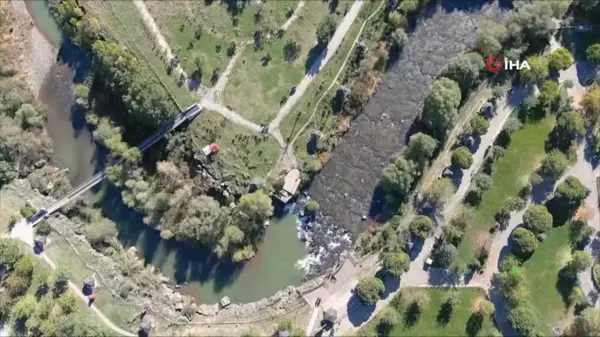 Erciş Balık Bendi, Yavru Balıkların Yeni Barınma Alanı