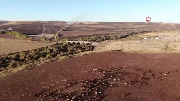 Diyarbakır'a Gelen Konargöçer Aile, Kral Yolu'nda 6 Ay Kalacak