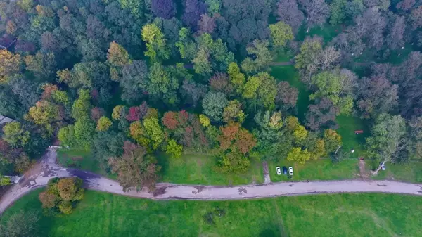 Düzce'deki Gölyaka Kültür Park'ta Sonbahar Renkleri