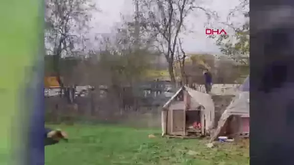 Köpek Kulübelerini Yakan Yaşlı Adam, Tepki Gösterene Bıçak Çekti