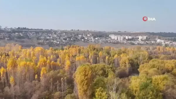 Diyarbakır Hevsel Bahçeleri'nde Sonbahar Renkleri