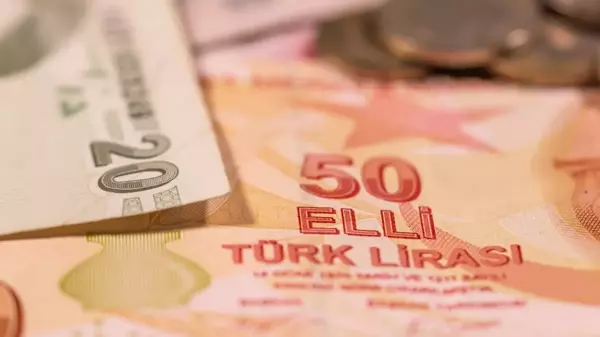 Yeni 5 ve 50 TL'lik banknotlar tedavüle çıktı