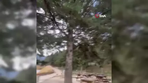 Bolu'da Kuvvetli Rüzgar Günlük Yaşamı Olumsuz Etkiliyor