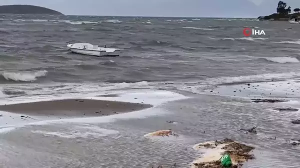 Ayvalık'ta Şiddetli Lodos Fırtınası Hasara Neden Oldu