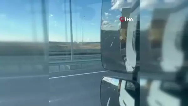 İstanbul Otoyolunda Başıboş Atlardan Trafik Kazası