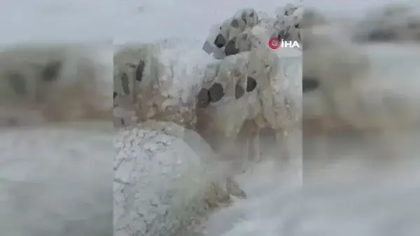 Malatya'da Kar Yağışı 100 Küçükbaş Hayvanı Telef Etti