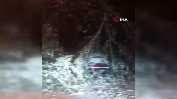 Elazığ'da Fırtına ve Kar Ağaçları Devrildi