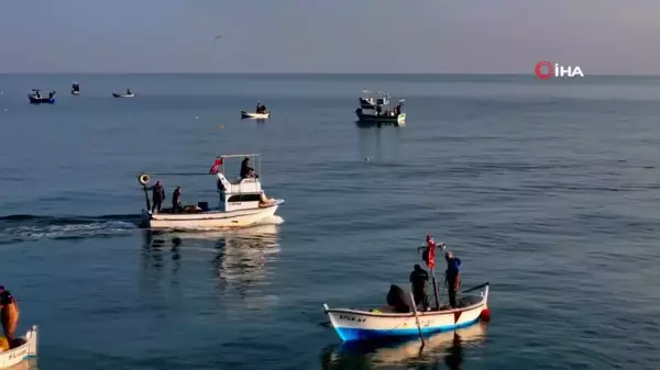 Sakarya'nın Geleneksel Balıkçılığı: Barbun Avı Devam Ediyor