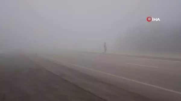 Kastamonu'da Yoğun Sis Trafiği Olumsuz Etkiliyor