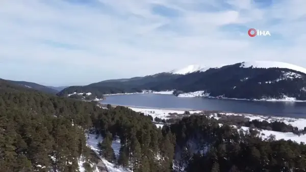 Bolu Yaylalarında Kış Manzarası: Yeşil ve Beyazın Büyüsü